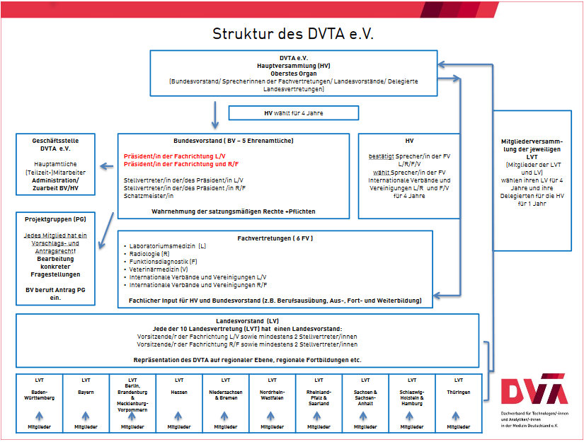 Struktur DVTA - Organigramm